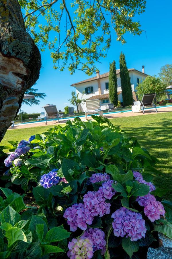 Il Raggio Di Sole Villa Баньореджо Екстериор снимка