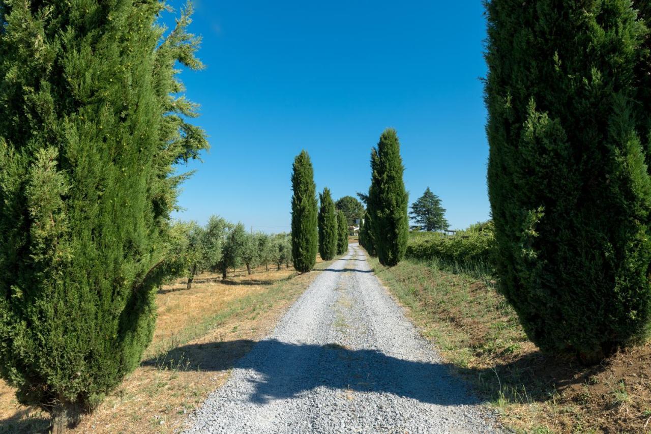 Il Raggio Di Sole Villa Баньореджо Екстериор снимка